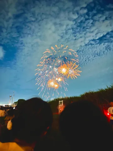 夜空に咲いた夢の華