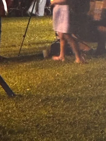 夜の草地に映る足元の輝き