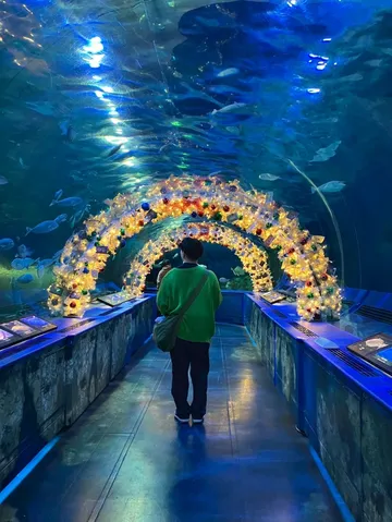 神秘的な海中世界