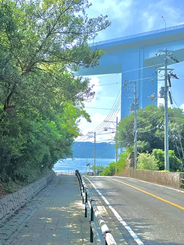 海へと誘う木漏れ日の道
