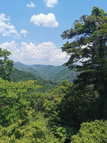 森と山の呼吸を感じる