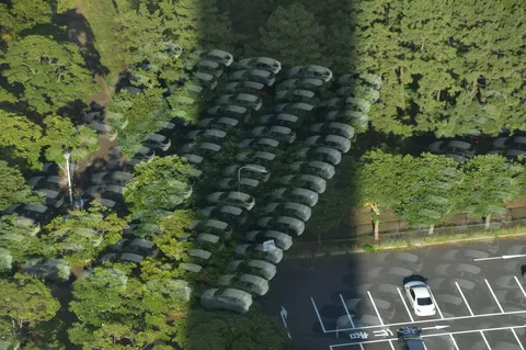 緑に埋もれた静かな駐車場