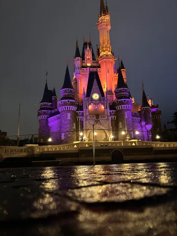 水面に煌めく夜の城