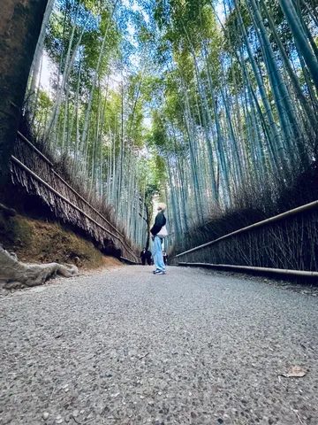 天まで届け！竹の道