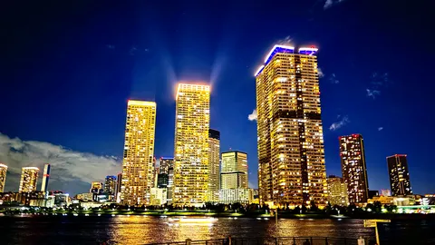 夜の川沿いを照らす都心の灯