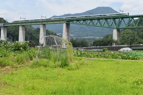 未来へ駆け抜ける新幹線と田園風景