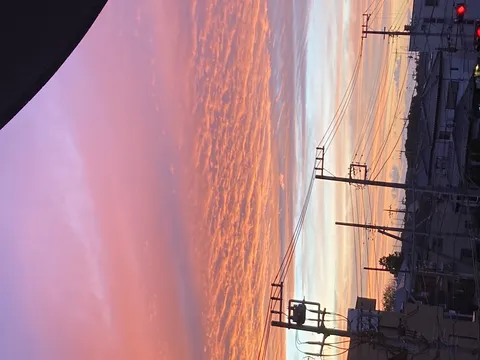 鮮やかな空と交差する電線