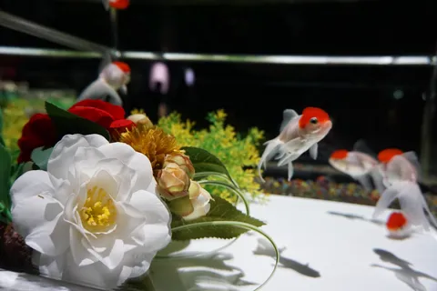 華やかな花と泳ぐ金魚たち