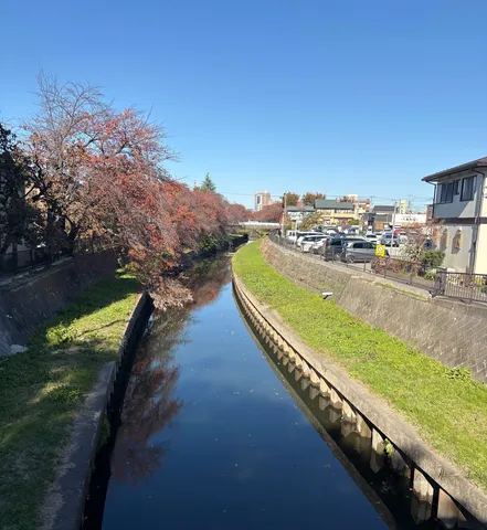 秋色の並木と穏やかな水面