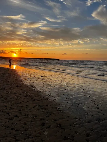 夕日と戯れる浜辺の主