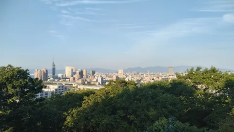 都会と緑が交差する風景