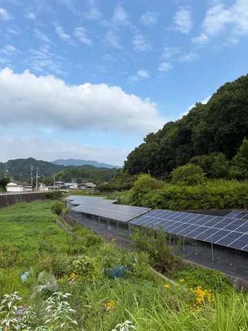 緑と空、そして太陽の恵み