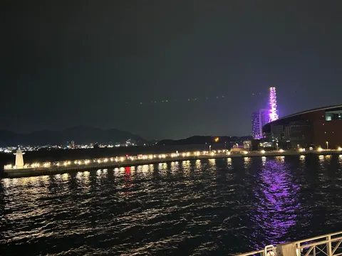 夜風に揺れる港の光