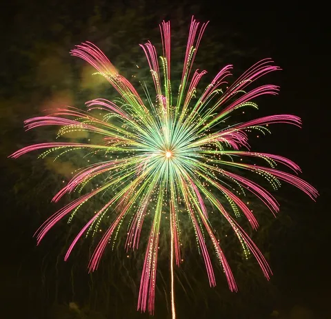 夜空に咲く鮮やかな大輪の花火