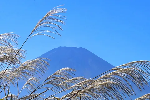 青空と草の揺らぎ、山影