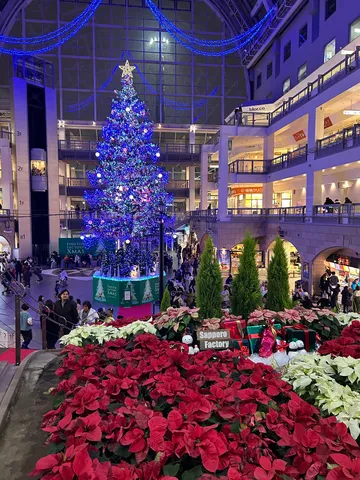 青と赤、主役争奪戦のクリスマス