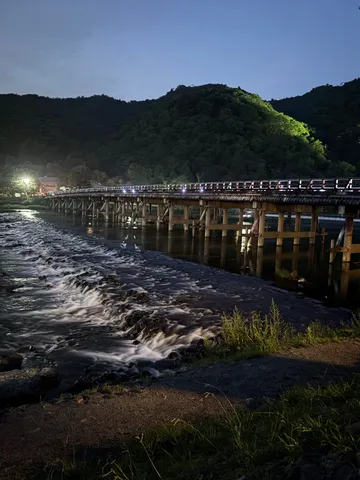 夜に溶け込む幻想的な橋