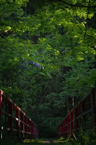 深緑と赤い欄干のコントラスト