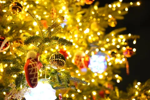 灯りに包まれるクリスマス木