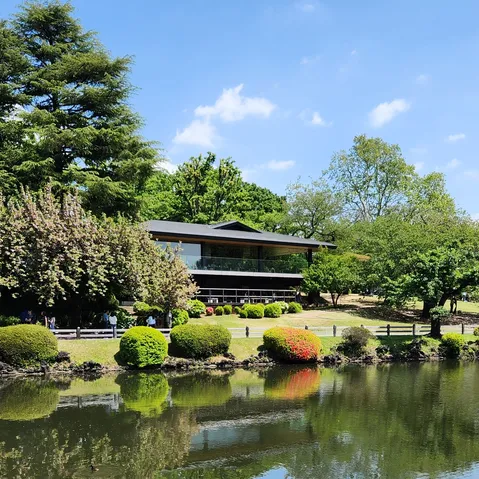 水辺に映えるモダン建築
