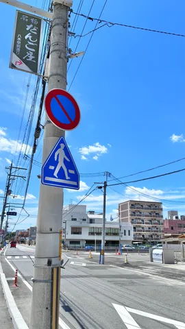 信号機の陰から見つめる道