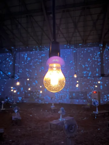 電球が誘う青い光の世界