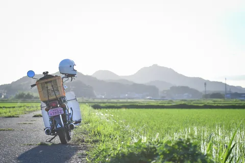 陽射しの田園風景