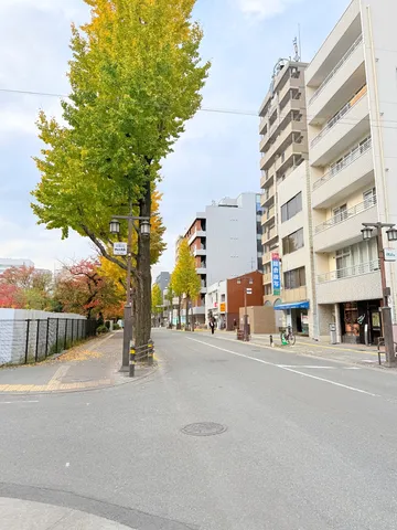 秋色に染まる街路樹と静かな街並み