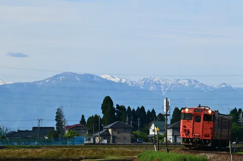 雪嶺を望む郷の列車