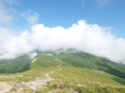 雲海と緑の山道