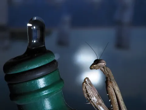 静かな対話の片隅