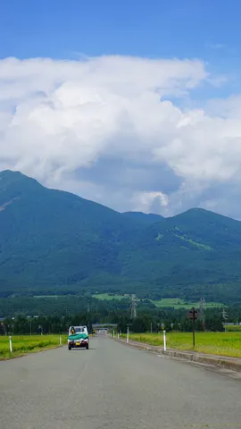 山へと続く道、軽トラはどこへ行く
