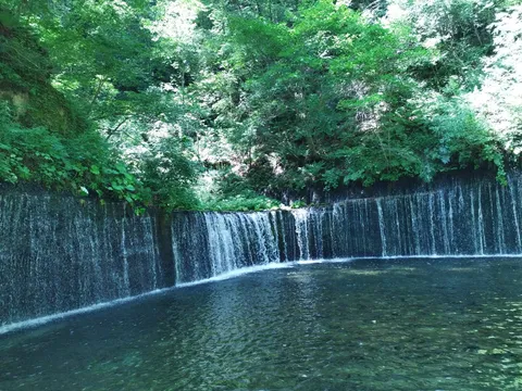 森のカーテン、涼しげに流れる滝