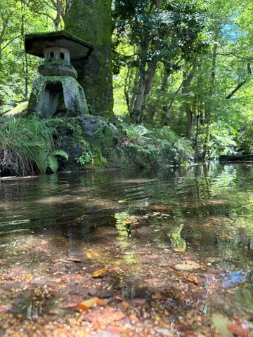 苔むす石灯籠と水面の木漏れ日