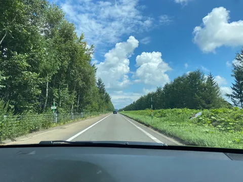 夏の緑と青空のドライブ