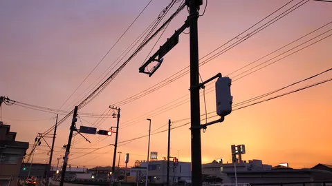 夕焼け、電線、そして信号機