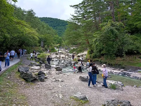 緑と石畳の渓流散歩