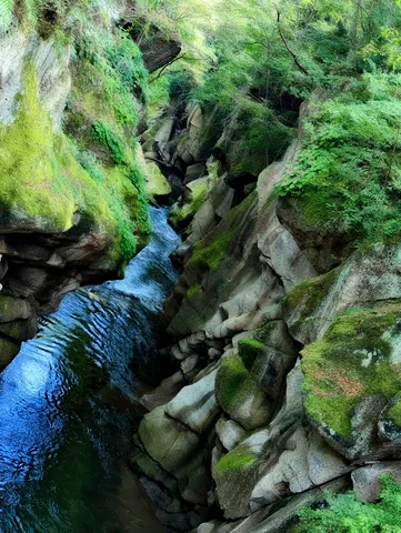 苔むす岩と水の迷宮