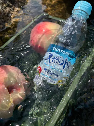 水と果実の夏の残像