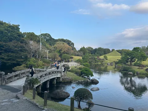 水面に映る緑のコントラスト