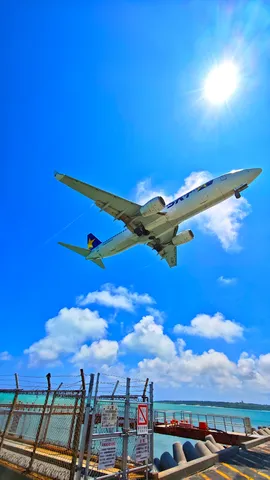 飛行機