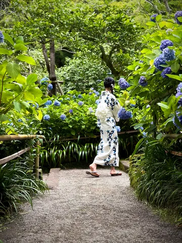 紫陽花の小径を辿る