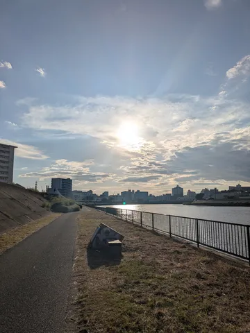 川沿いの道、午後の光