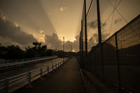 光芒に誘われし道