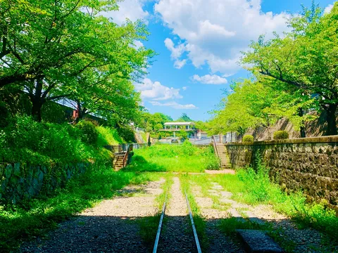 自然が織りなす廃線路