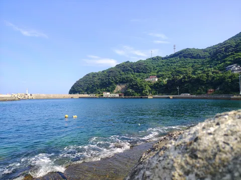 光灯る海辺、緑の息吹