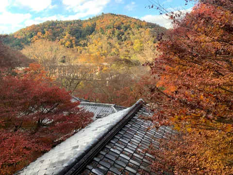 瓦屋根越しの秋山