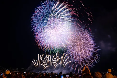 夜空を彩る大輪の花火