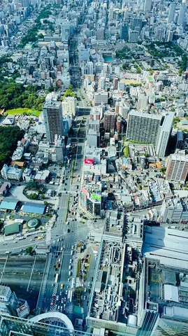 上空から捉えた街の表情