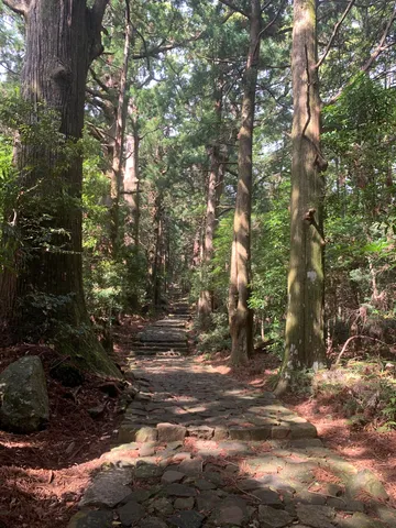 緑陰の石畳、時を刻む参道